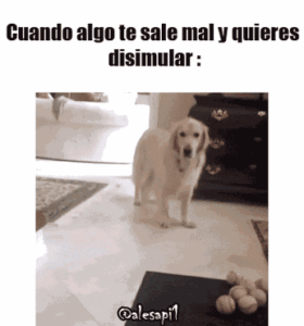 gif chistosos graciosos para whatsapp perro que falla