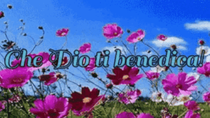 GIF immagini cristiane cattoliche buongiorno buonanotte Dio ti benedica