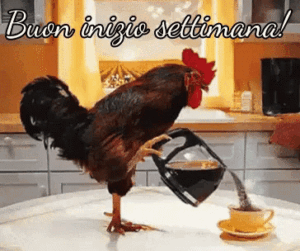 gif divertenti buon lunedì