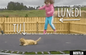 gif divertenti buon lunedì bambina gatto tappeto elastico
