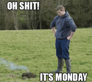 gif divertenti buon lunedì funny happy monday