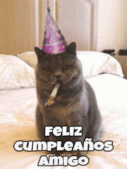 gif feliz cumpleaños amigo gato fiesta