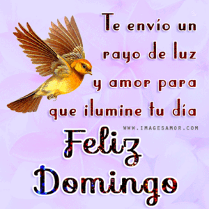 gif feliz domingo