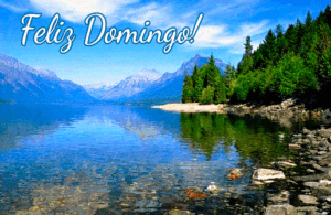 gif feliz domingo
