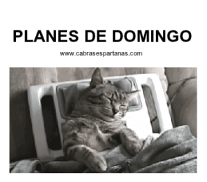 gif feliz domingo