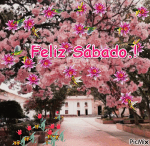 gif feliz sabado