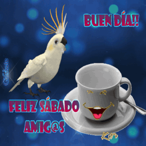 gif feliz sabado buen dia