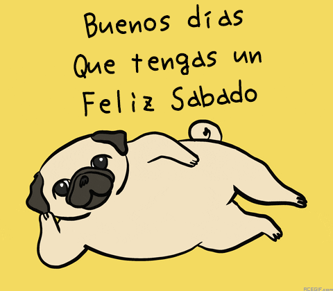 gif feliz sabado con deporte