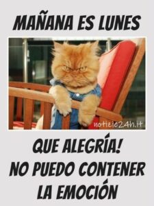imagenes feliz domingo divertido