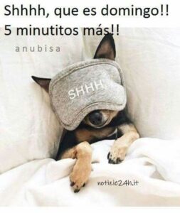 imagenes feliz domingo divertido