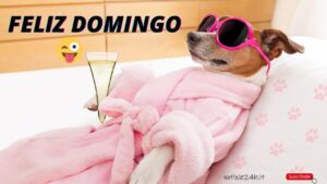 imagenes feliz domingo divertido