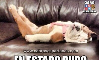 imagenes feliz domingo divertido