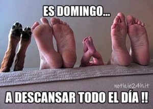 imagenes feliz domingo divertido