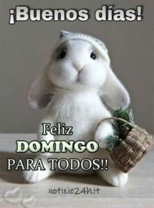 imagenes feliz domingo divertido