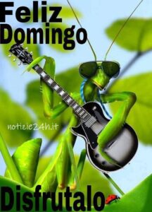 imagenes feliz domingo divertido