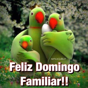 imagenes feliz domingo divertido