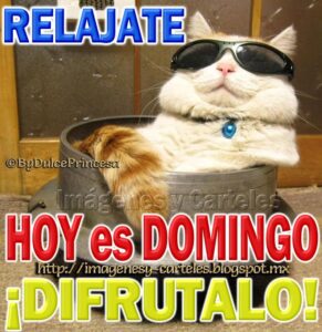 imagenes feliz domingo divertido