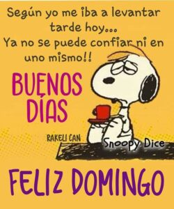 imagenes feliz domingo divertido