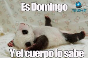 imagenes feliz domingo divertido