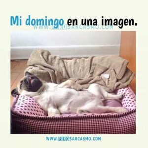 imagenes feliz domingo divertido