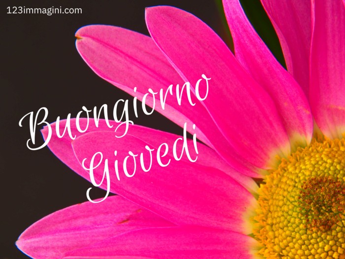 immagini buon giovedì con fiore