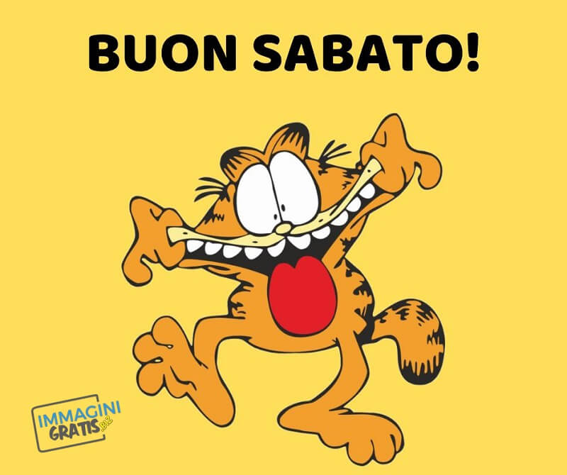 immagini divertenti buon sabato Garfield