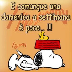 immagini divertenti buongiorno buona domenica