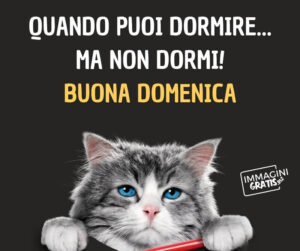immagini divertenti buongiorno buona domenica