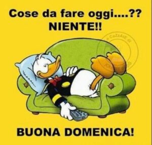 immagini divertenti buongiorno buona domenica
