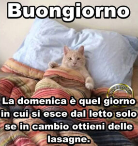 immagini divertenti buongiorno buona domenica