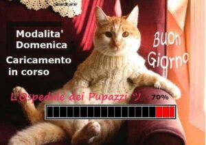 immagini divertenti buongiorno buona domenica