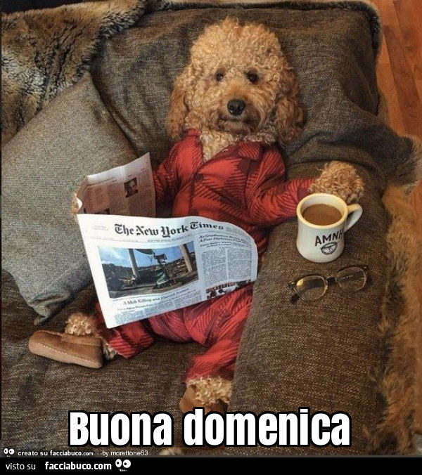 immagini divertenti buona domenica