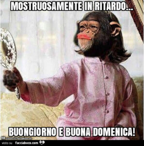 immagini divertenti buongiorno buona domenica mattina