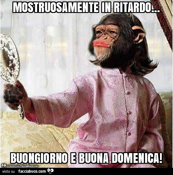 immagini divertenti buona domenica mattina