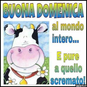 immagini divertenti buongiorno buona domenica