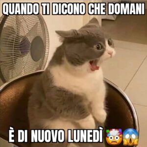 immagini divertenti domani è lunedì