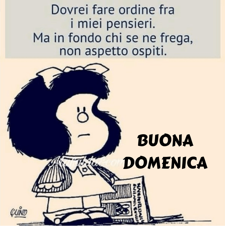 immagini divertenti buona domenica