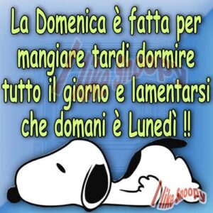 immagini divertenti buongiorno buona domenica domani è lunedì