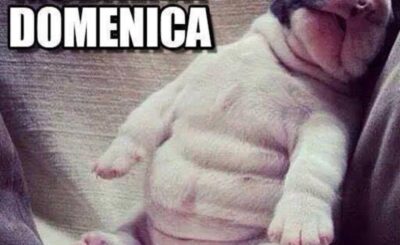 immagini divertenti buongiorno buona domenica