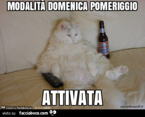 immagini divertenti buongiorno buona domenica pomeriggio
