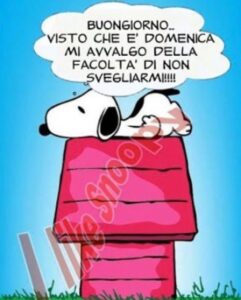 immagini divertenti buongiorno buona domenica