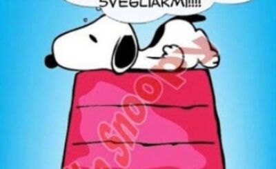 immagini divertenti buongiorno buona domenica