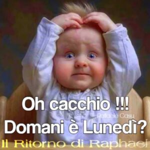 immagini divertenti buongiorno buona domenica domani è lunedì