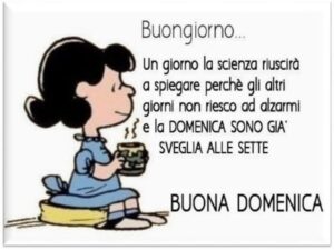 immagini divertenti buona domenica
