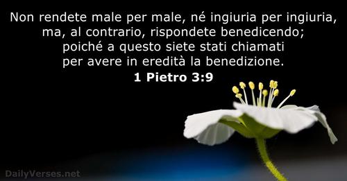 immagini cristiane cattoliche versi della bibbia 1 Pietro 3:9