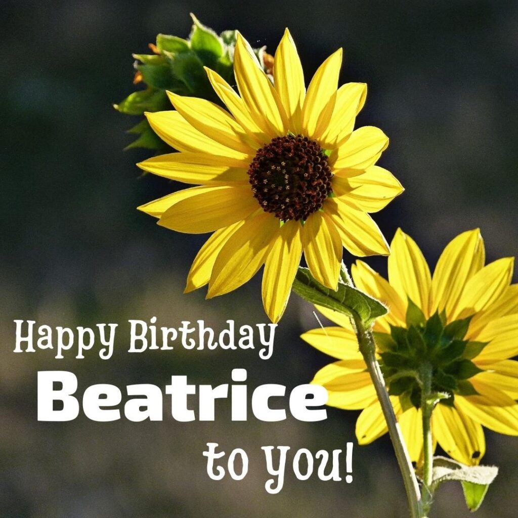 immagini cartoline buon compleanno happy birthday beatrice fiori girasole