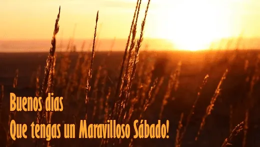 buenos dias feliz sabado gif