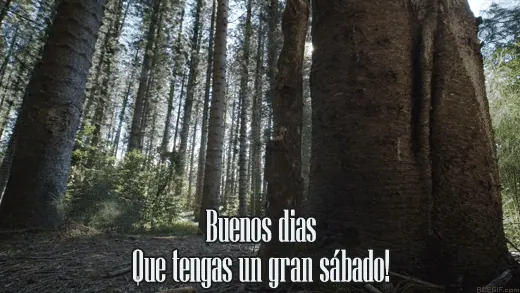 buenos dias feliz sabado gif