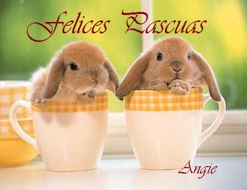 felices pascuas conejos