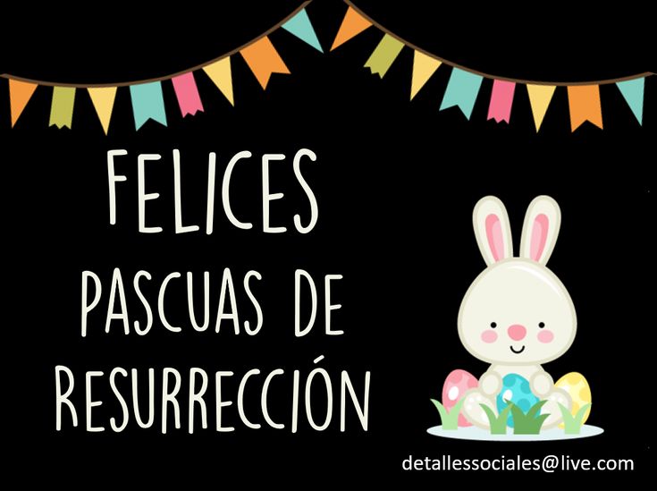 conejo feliz pascua de resurreción